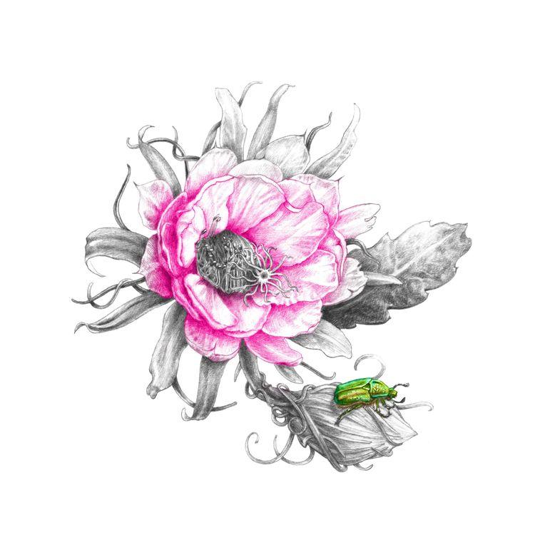An illustration